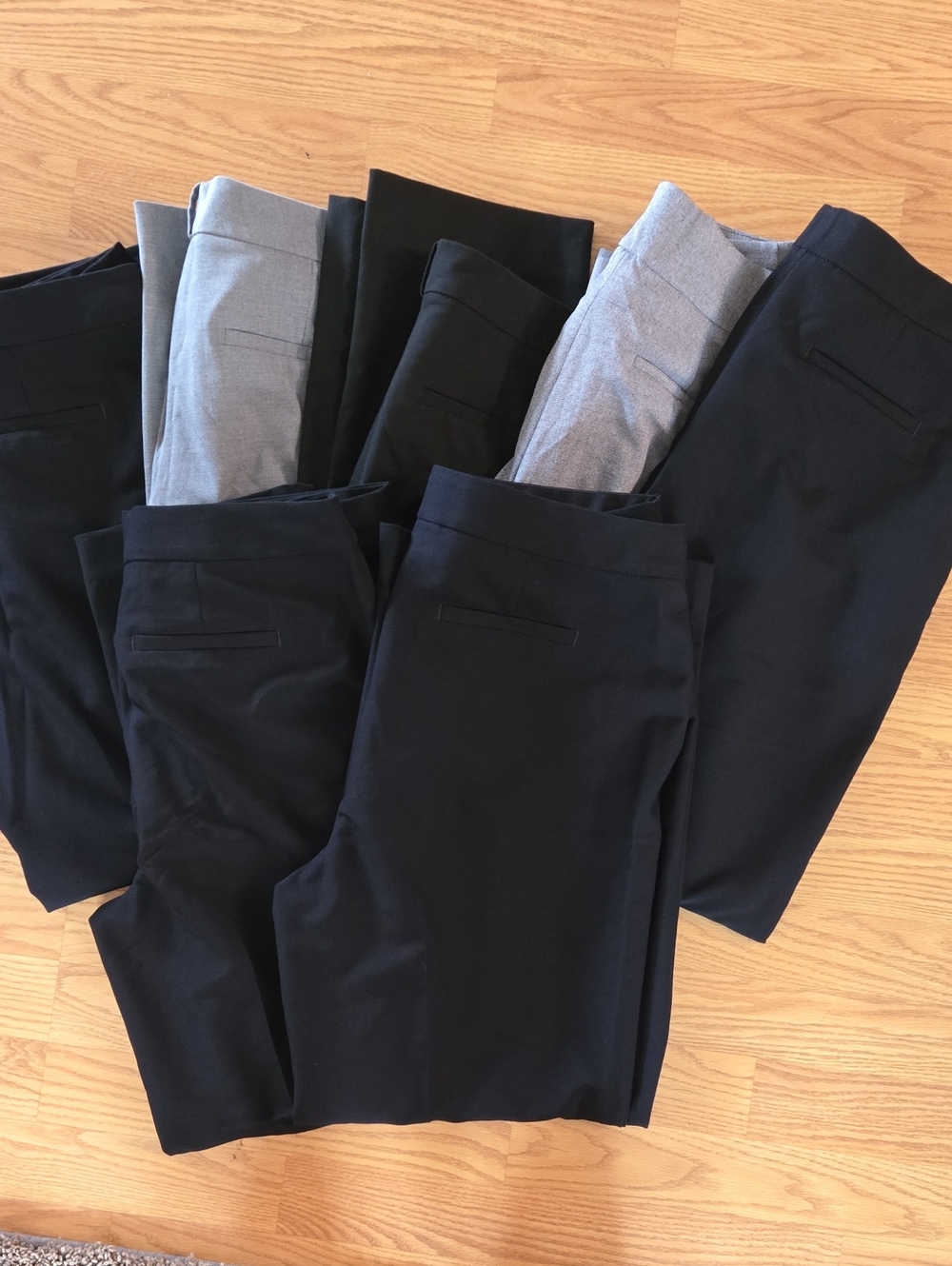 Women's Classic Stretch Dress Pants - Black & Gray